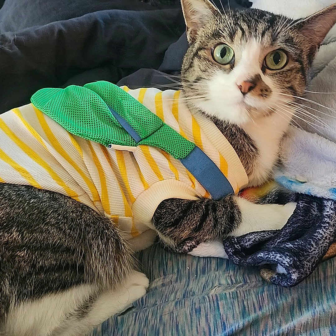Oscar