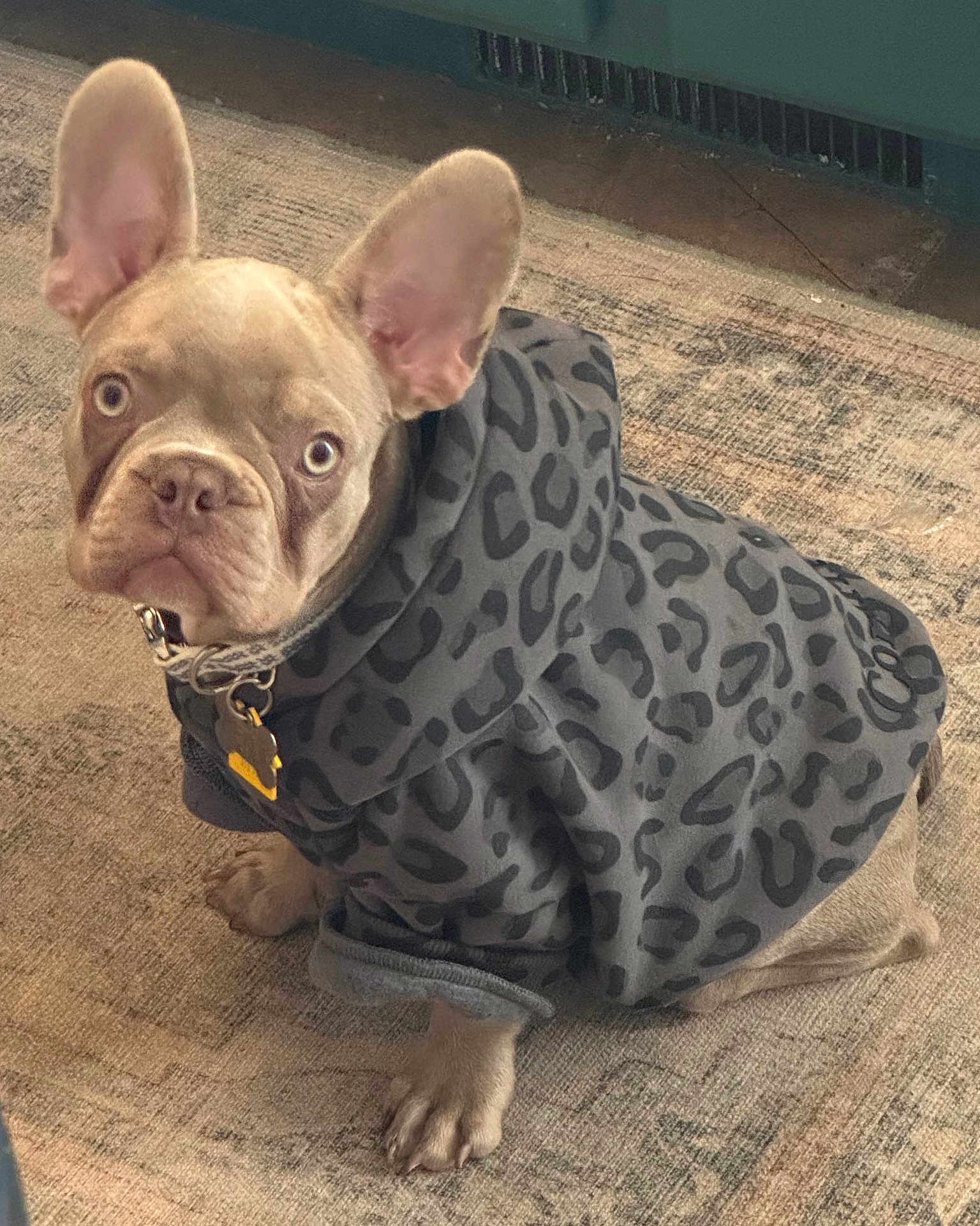 Benji