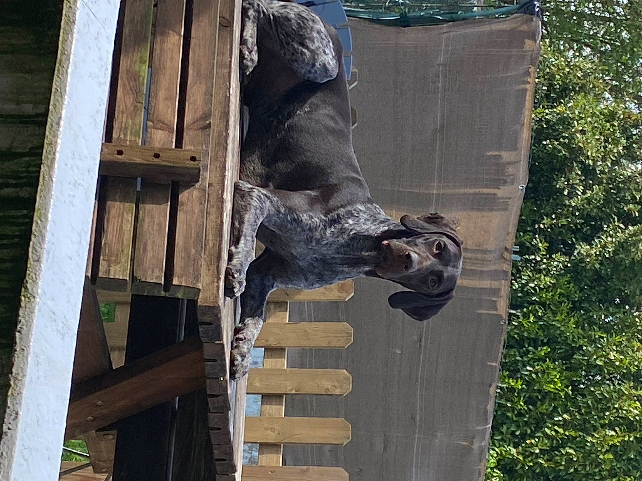 Thomas a rejoint le concours — aidez-le/la à gagner de superbes lots ! art, carving, metal, monument, plant, rock, sculpture, sporting_group, statue, tree, trunk, water, wood, working_animal