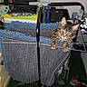 cat, tabby_cat, towel, drying_rack, indoor, curious, pet, furniture, storage_basket, shoes, floor, household, clothing, fabric, animal, playful, green_floor, gray_towel, blue_towel, clawing