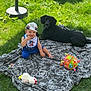 Raphaël participe au concours pour gagner de l'argent avec cette photo : baby, child, dog, black_dog, grass, blanket, toy_ball, stuffed_toy, cap, bib, outdoor, sunlight, happy, smiling, sitting, pet, playful, nature, relaxing, candid