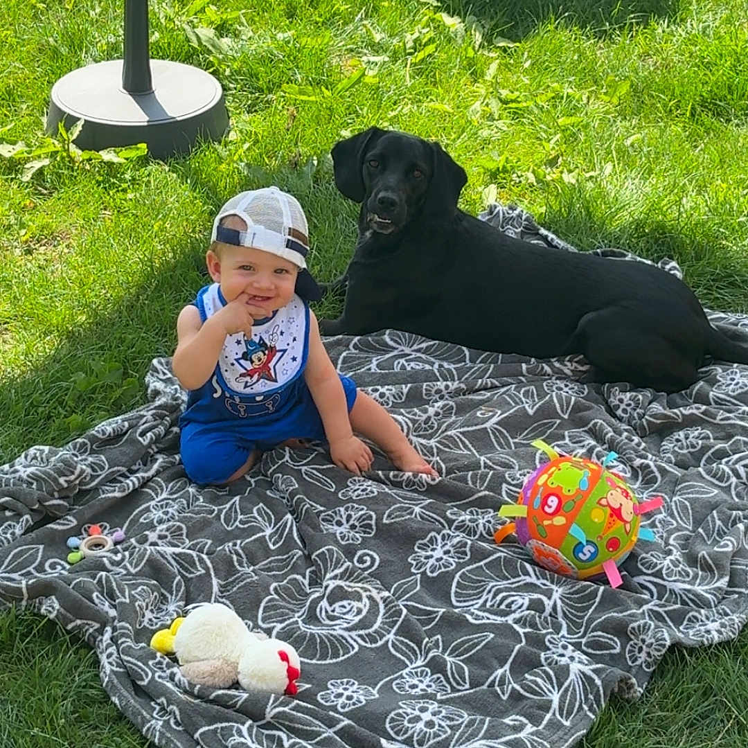 Raphaël participe au concours pour gagner de l'argent avec cette photo : baby, bib, black_dog, blanket, candid, cap, child, dog, grass, happy, nature, outdoor, pet, playful, relaxing, sitting, smiling, stuffed_toy, sunlight, toy_ball