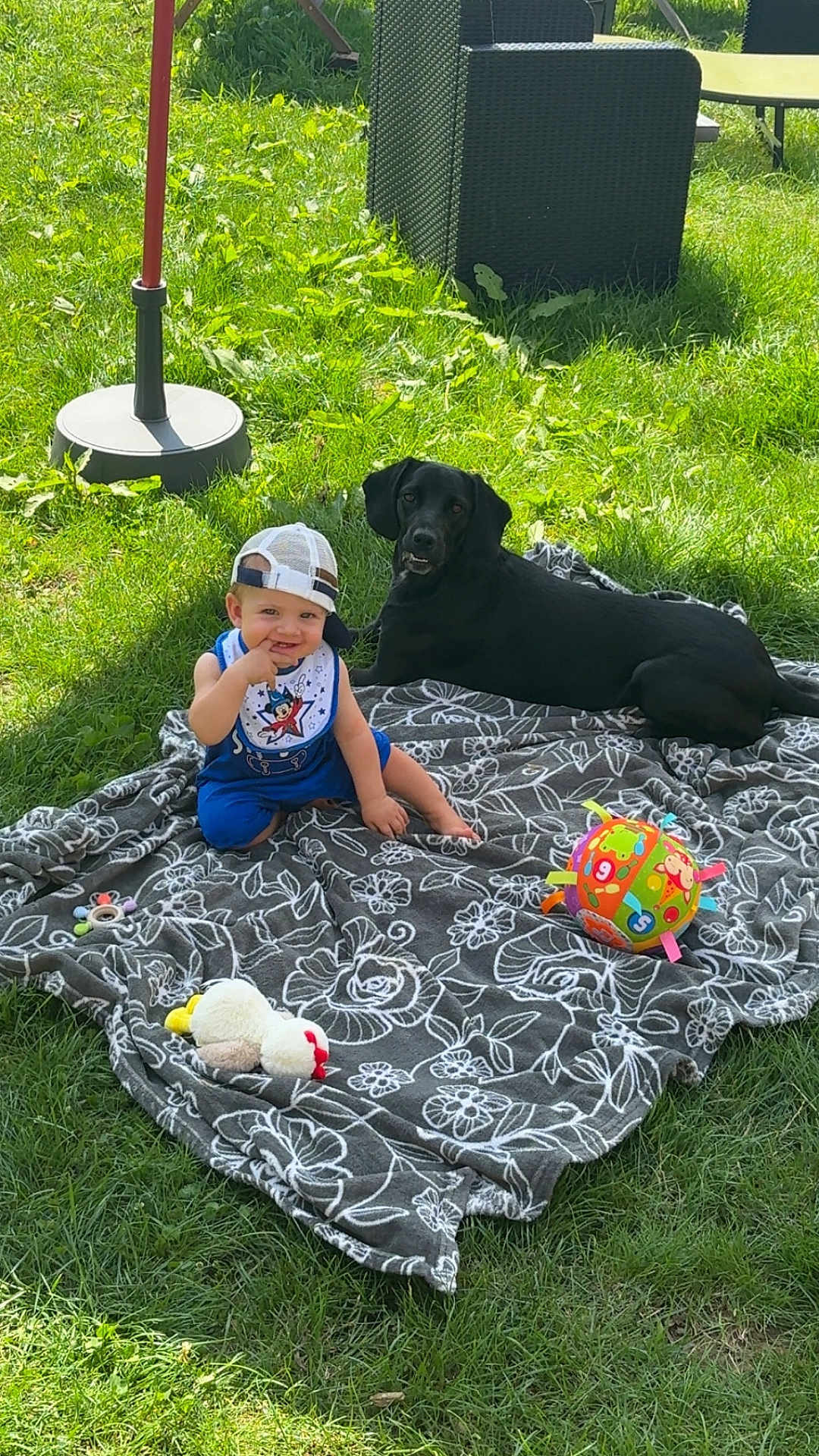 Raphaël participe au concours pour gagner de l'argent avec cette photo : baby, child, dog, black_dog, grass, blanket, toy_ball, stuffed_toy, cap, bib, outdoor, sunlight, happy, smiling, sitting, pet, playful, nature, relaxing, candid