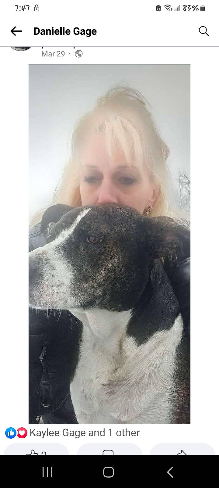 Frankie joined the competition — help win amazing prizes! canidae, carnivore, collar, comfort, companion_dog, dog, dog_breed, fur, giant_dog_breed, happy, hunting_dog, monochrome_photography, non_sporting_group, selfie, snout, sporting_group, stock_photography, whiskers, working_animal, working_dog