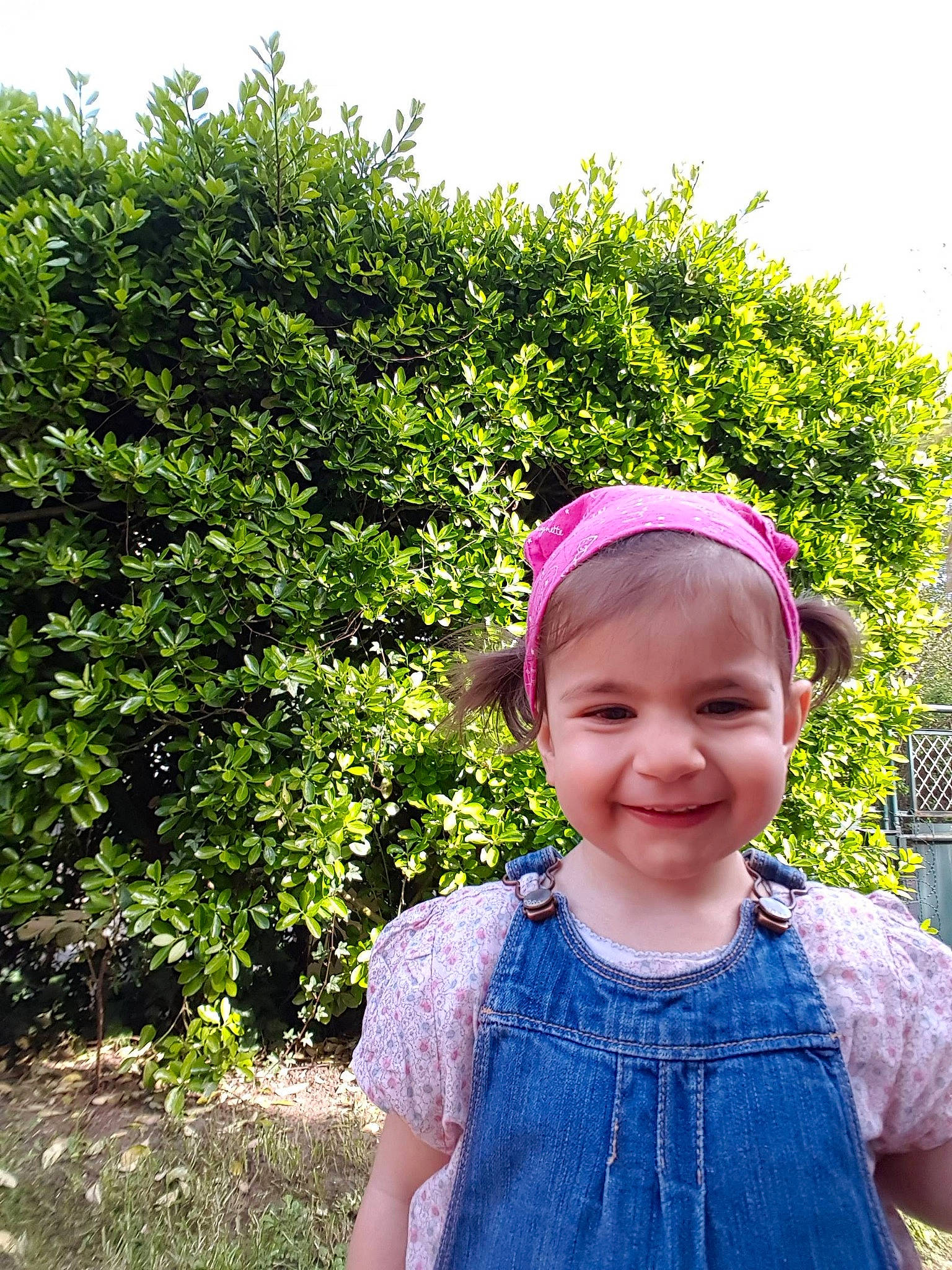 Leonora a rejoint le concours — aidez-le/la à gagner de superbes lots ! child, flower, fun, garden, girl, grass, hair_accessory, happiness, headgear, joy, leaf, person, pink, plant, purple, shrub, smile, spring, summer, toddler