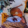 baby, bed, blanket, cozy, eye_patch, face, head, hospital, infant, medical, monitoring_tube, newborn, nursery, plush, portrait, resting, side_profile, sleeping, stuffed_animal, swaddled
