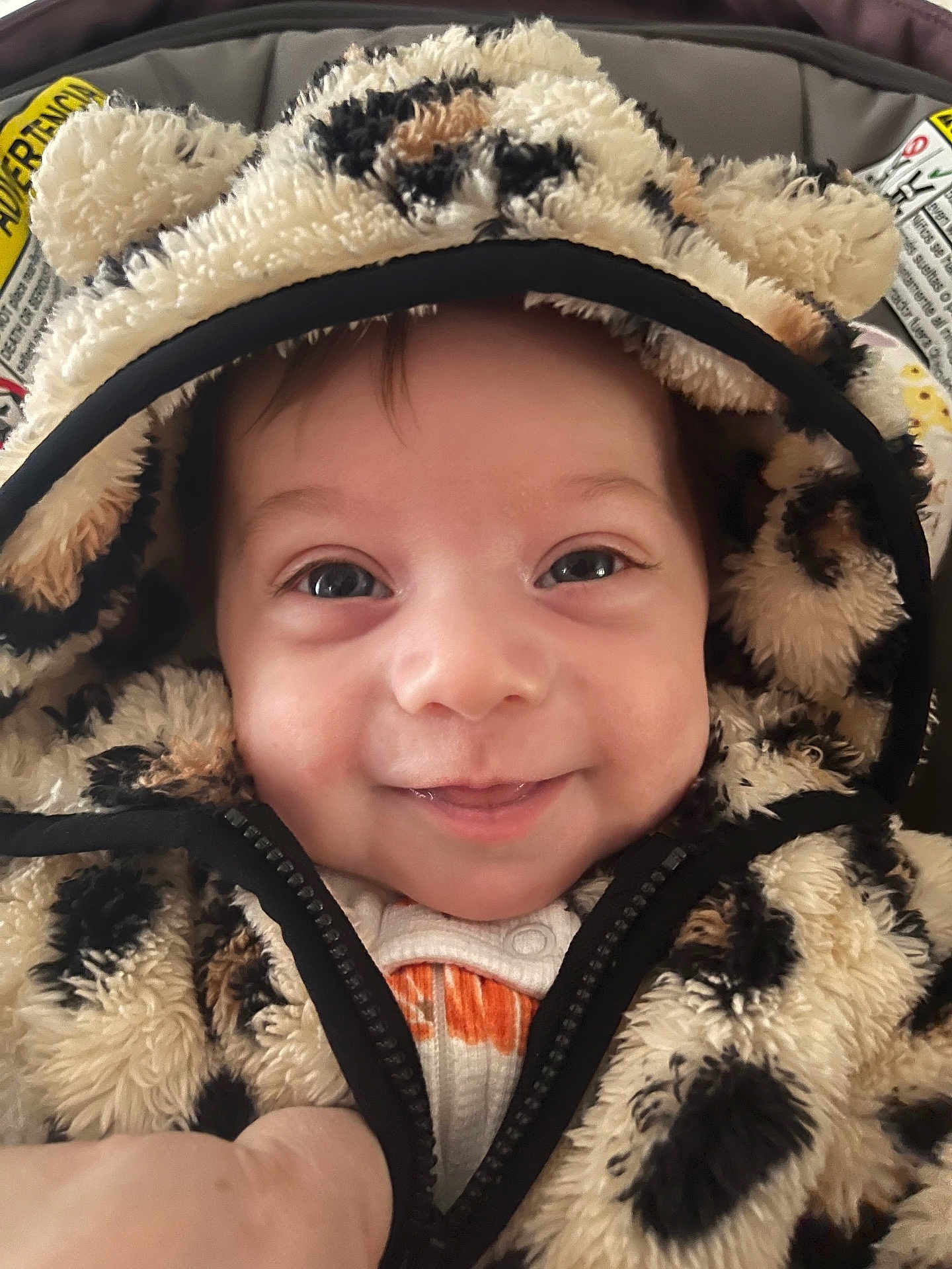 Skylar is registered to the contest to win money with this photo: baby, child, hoodie, fluffy, animal_print, smiling, cozy, cute, face, closeup, infant, warm_clothing, zipper, happy, portrait, young_child, indoor, clothing, baby_clothes, headwear