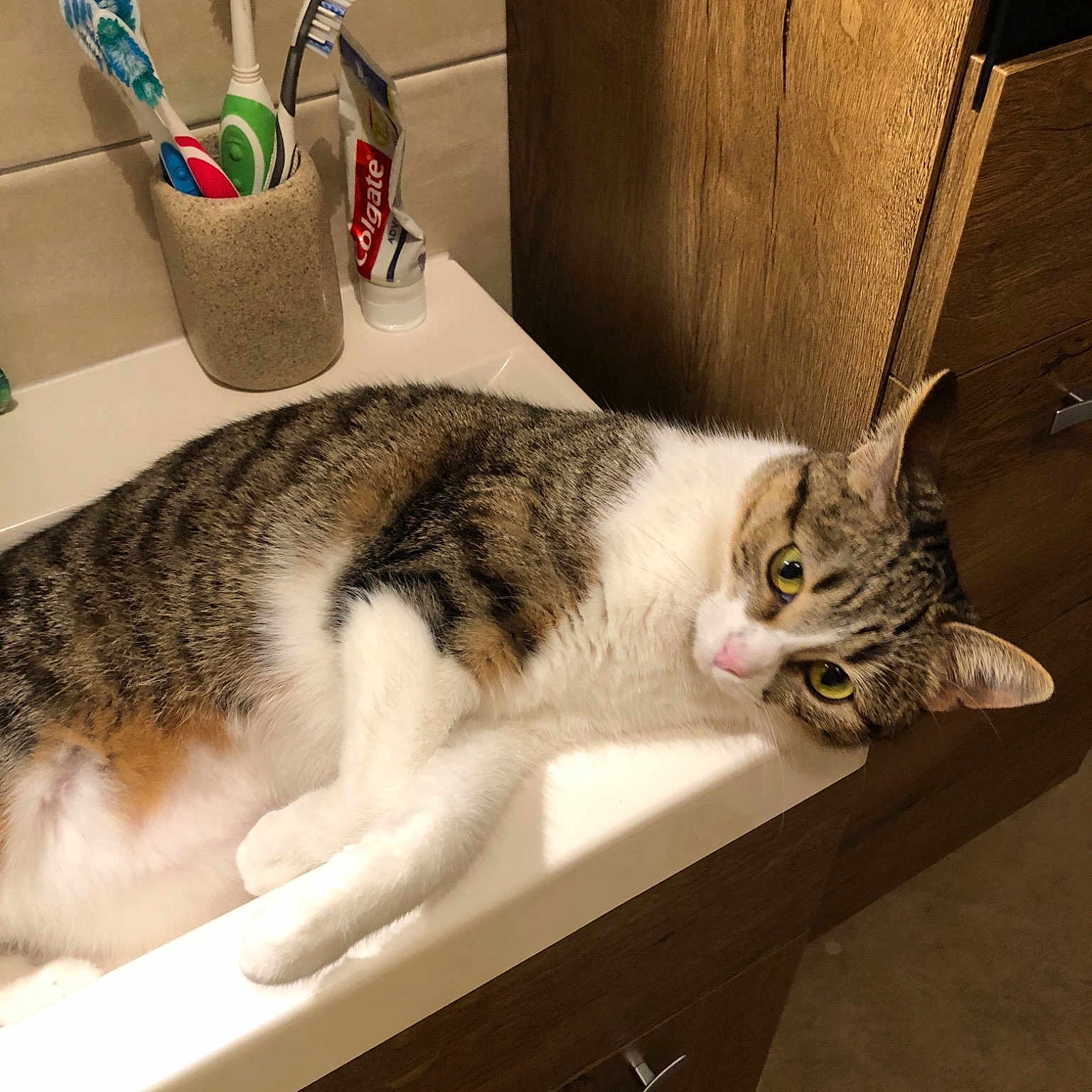 Yuki