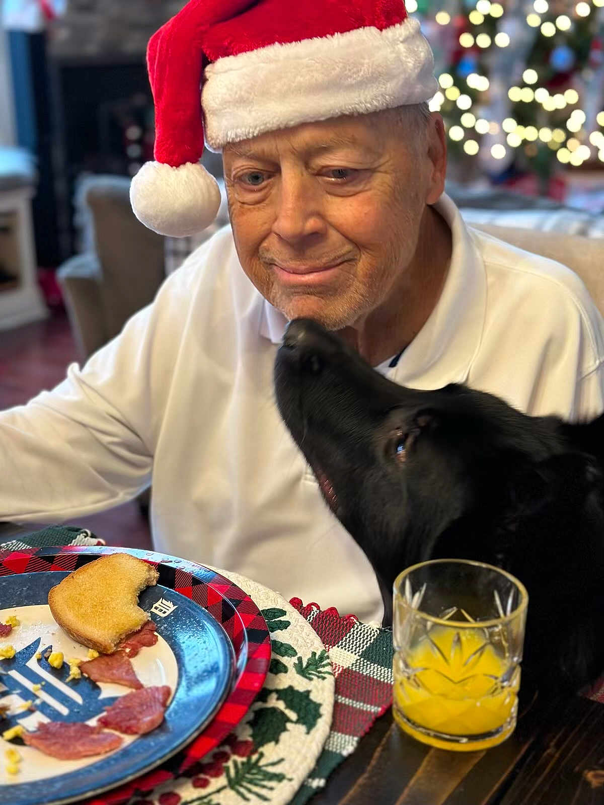 Rex is registered to the contest to win money with this photo: elderly_man, santa_hat, black_dog, breakfast, toast, orange_juice, table, plate, holiday, christmas_lights, indoor, affection, smile, plaid, napkin, white_shirt, cozy, face, pet, warm_lighting