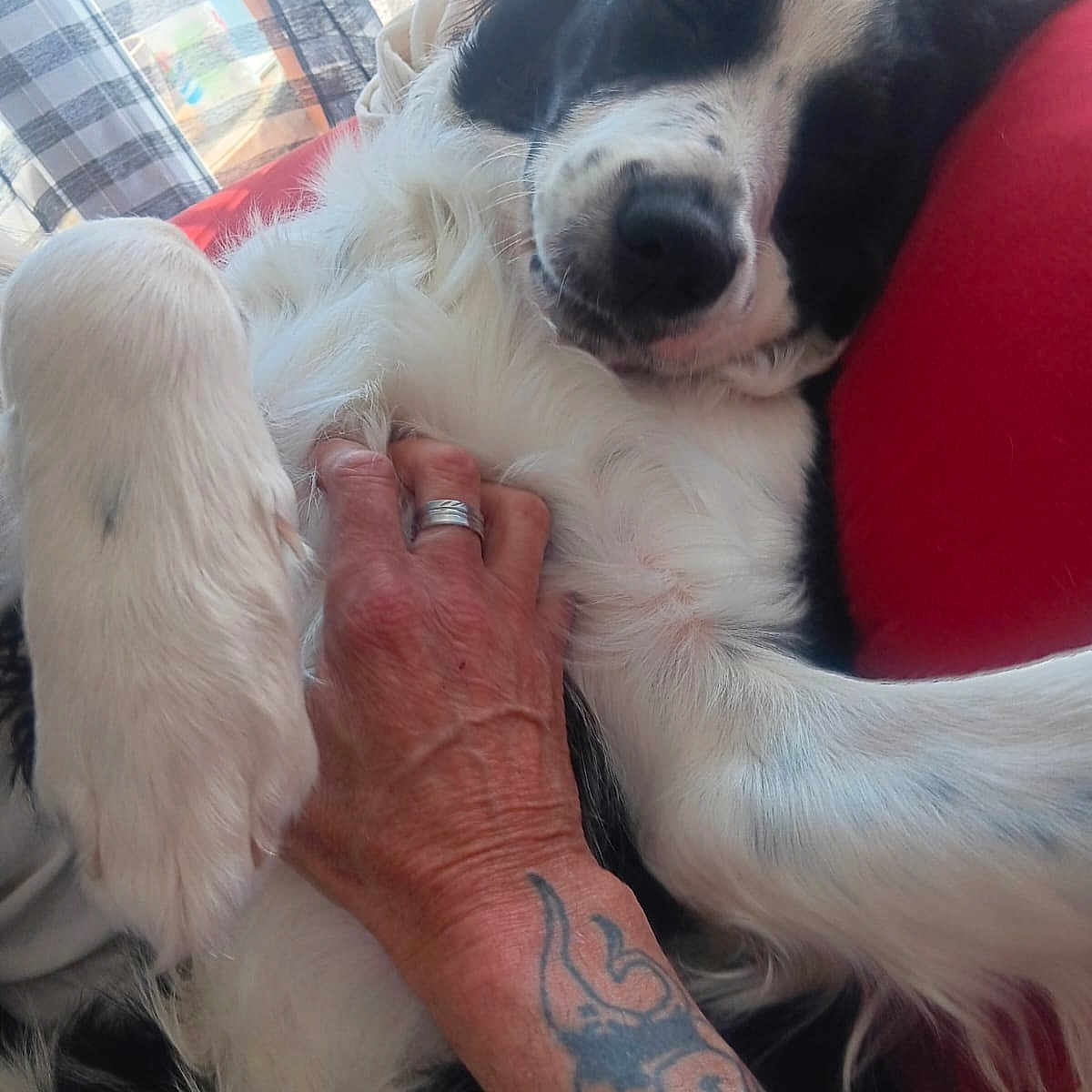 Marley
