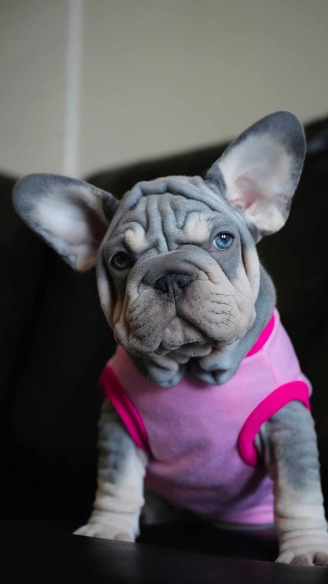Luna