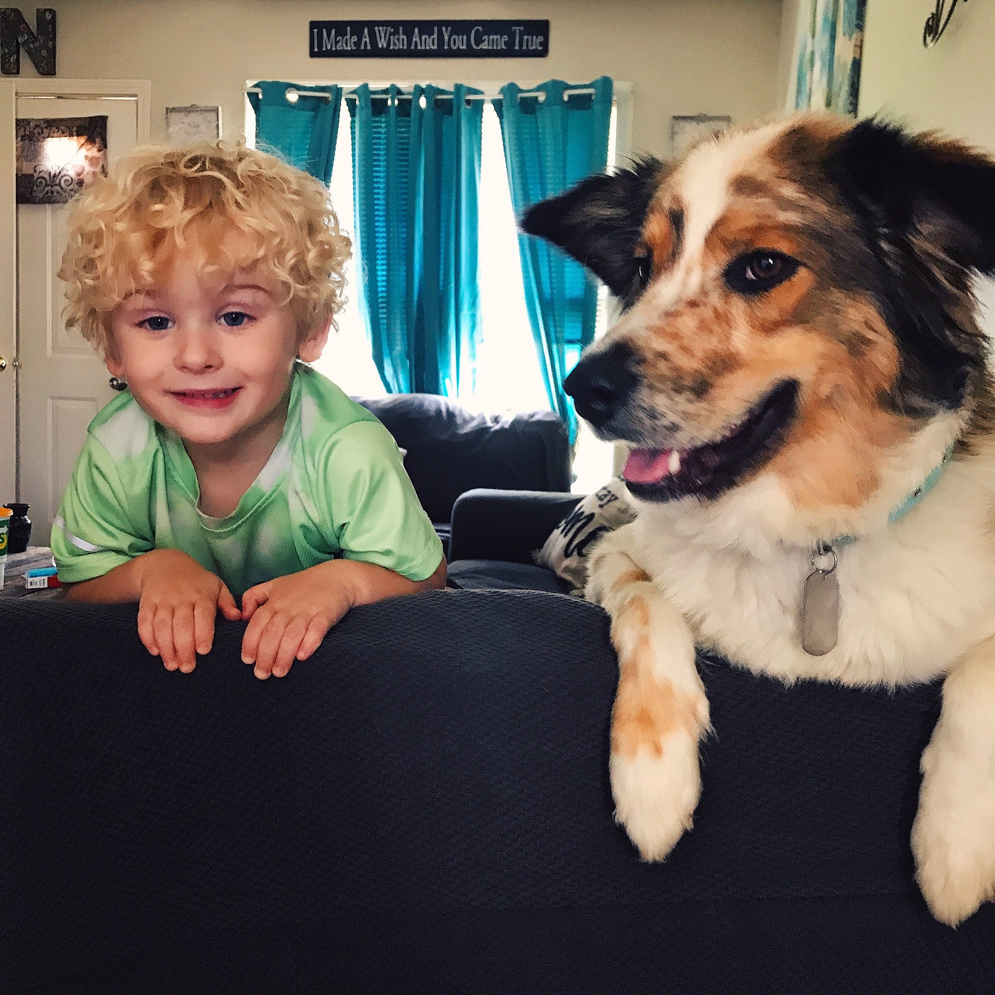 Keon joined the competition — help win amazing prizes! australian_shepherd, canidae, carnivore, child, companion_dog, dog, dog_breed, eye, fur, iris, joy, mammal, miniature_australian_shepherd, person, puppy, puppy_love, rare_breed_dog, sporting_group
