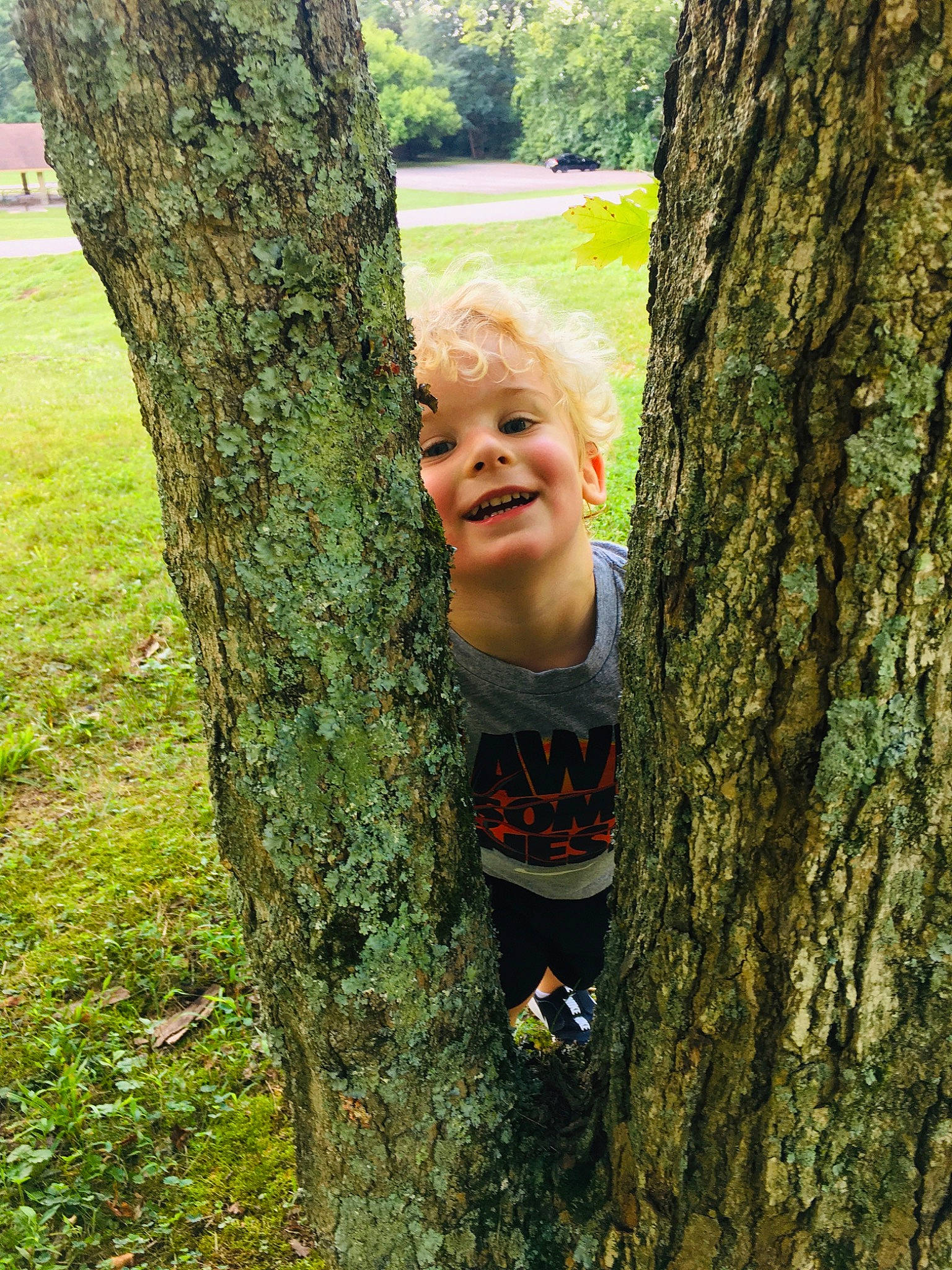 Keon joined the competition — help win amazing prizes! birch_family, forest, joy, old_growth_forest, person, plant, shellbark_hickory, smile, tree, trunk, wood, woody_plant