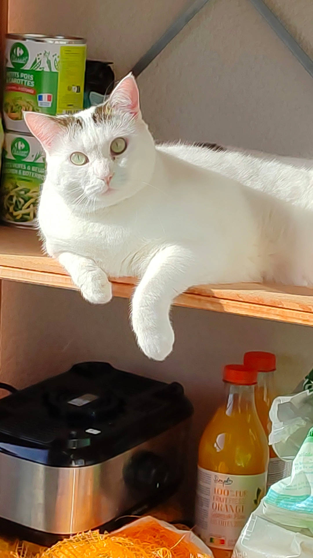 Layka