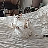 animal, bed, bedroom, cat, chair, curious, cute, desk, fur, furniture, household_items, indoor, lying_down, paw, pet, plush_toy, printer, relaxed, room, white_cat