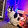 Oddie