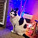 Oddie