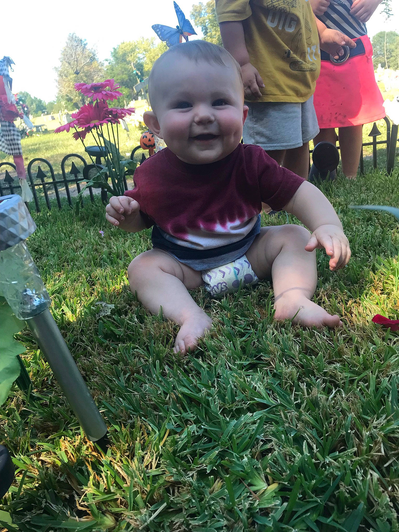 Parker joined the competition — help win amazing prizes! baby, baby_toddler_clothing, child, fun, garden, grass, grass_family, green, groundcover, happy, joy, lawn, people, people_in_nature, person, plant, shorts, smile, soil, t_shirt