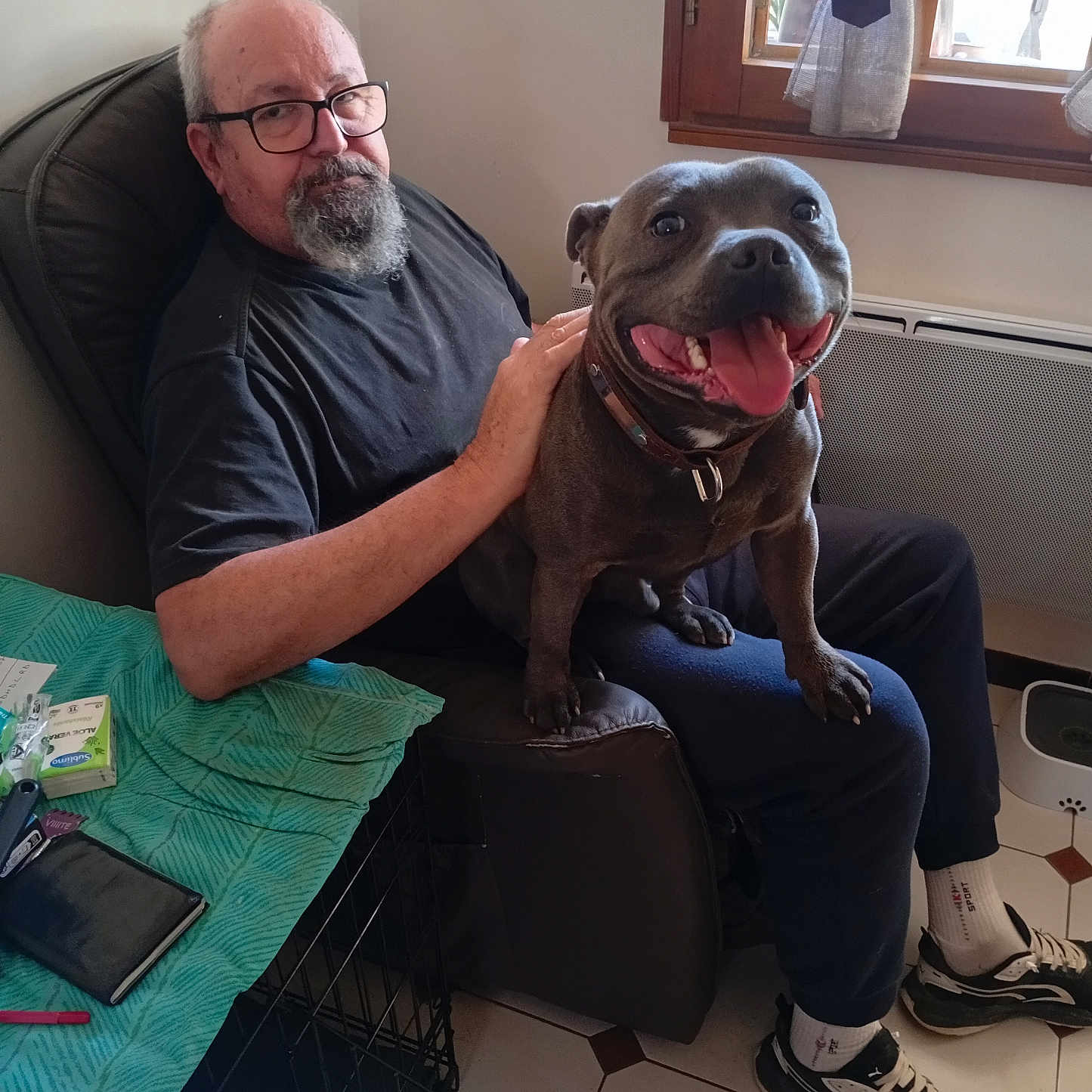 Volt a rejoint le concours — aidez-le/la à gagner de superbes lots ! dog, man, person, pet, companion, sitting, lap, smiling, happy, indoor, chair, window, living_room, pet_crate, blanket, collar, black_dog, portrait, household, floor