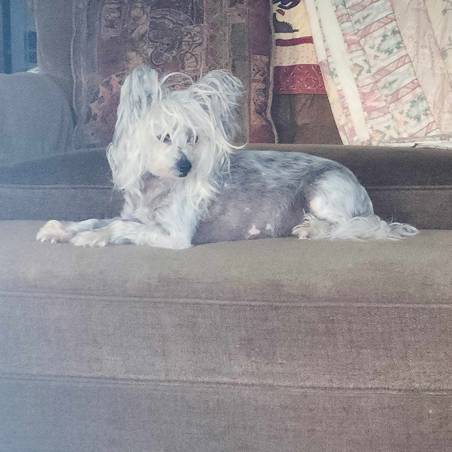 Romeo