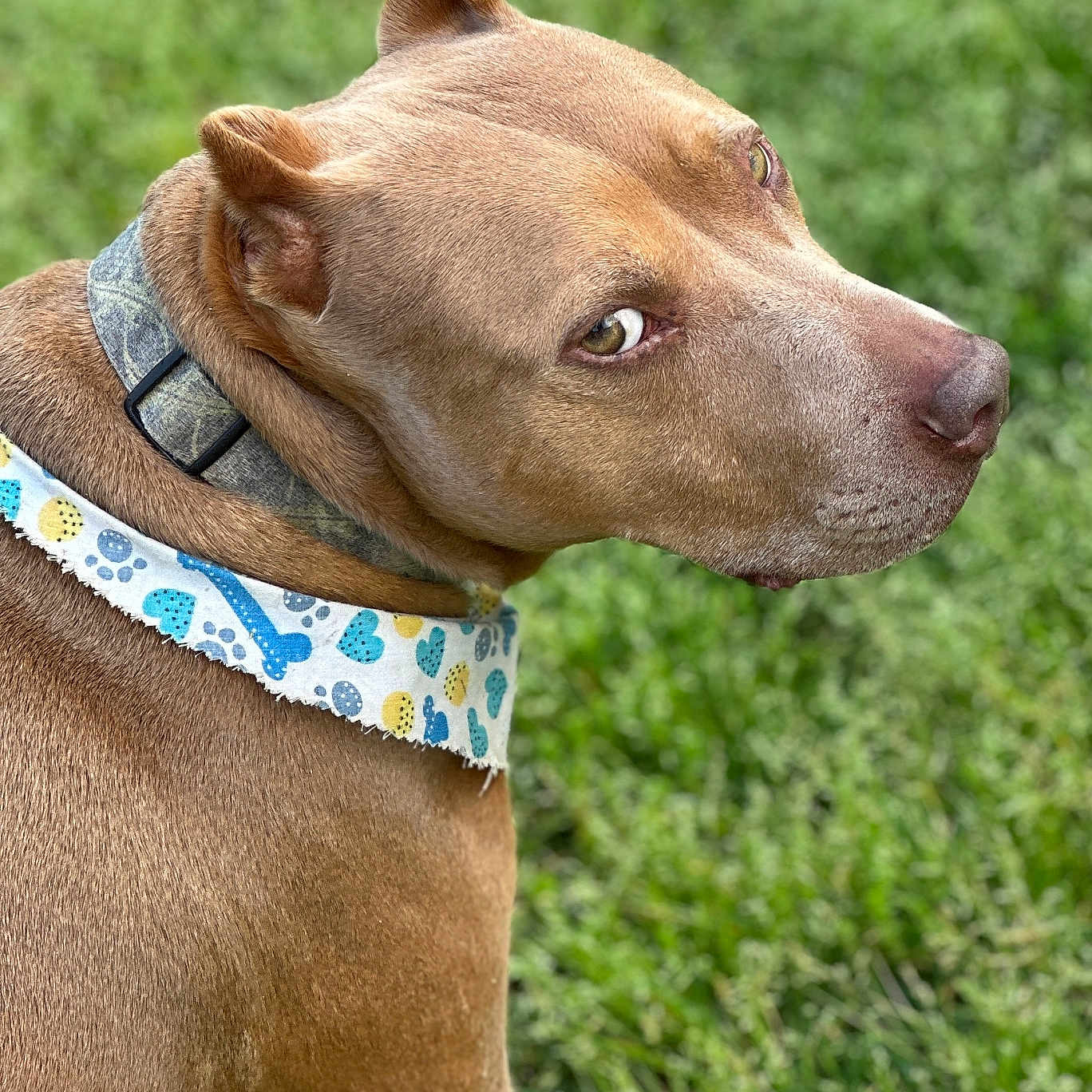 Max