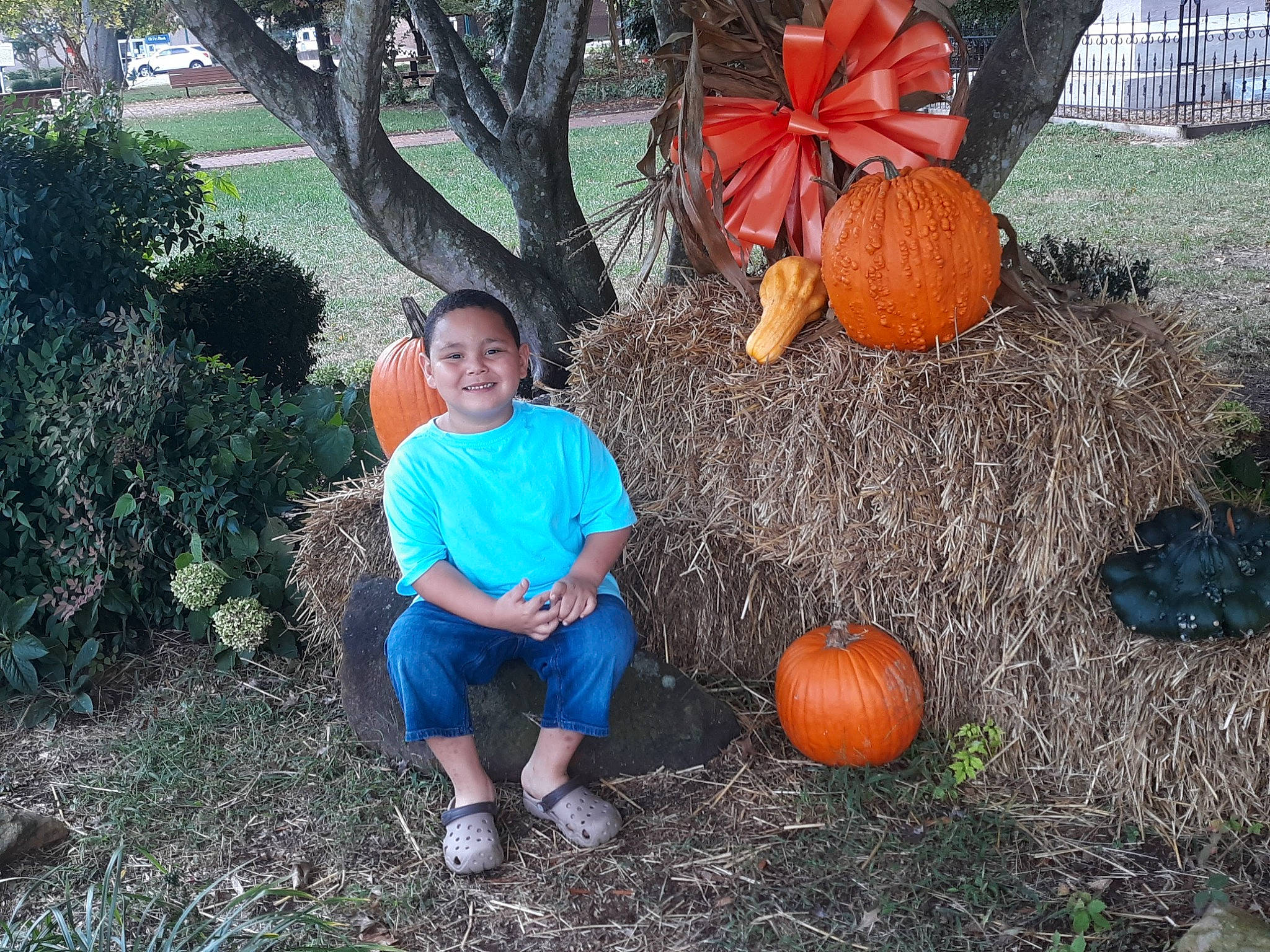 Avion joined the competition — help win amazing prizes! _and_melon_family, _gourd, calabaza, cucumber, cucurbita, gourd, grass, joy, leaf, local_food, natural_foods, orange, people_in_nature, person, plant, pumpkin, shorts, smile, soil, squash