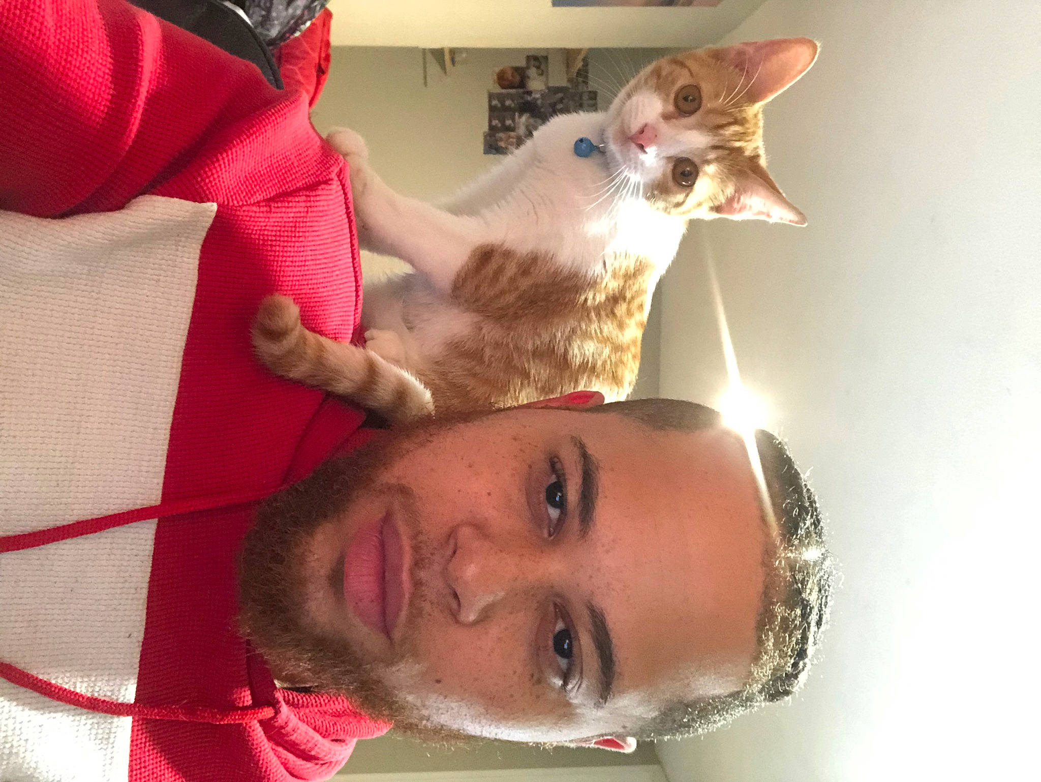 Tigger is registered to the contest to win money with this photo: carnivore, cat, ear, eye, facial_expression, fawn, felidae, fun, gesture, happy, jaw, mouth, neck, nose, organ, selfie, small_to_medium_sized_cats, smile, whiskers, white