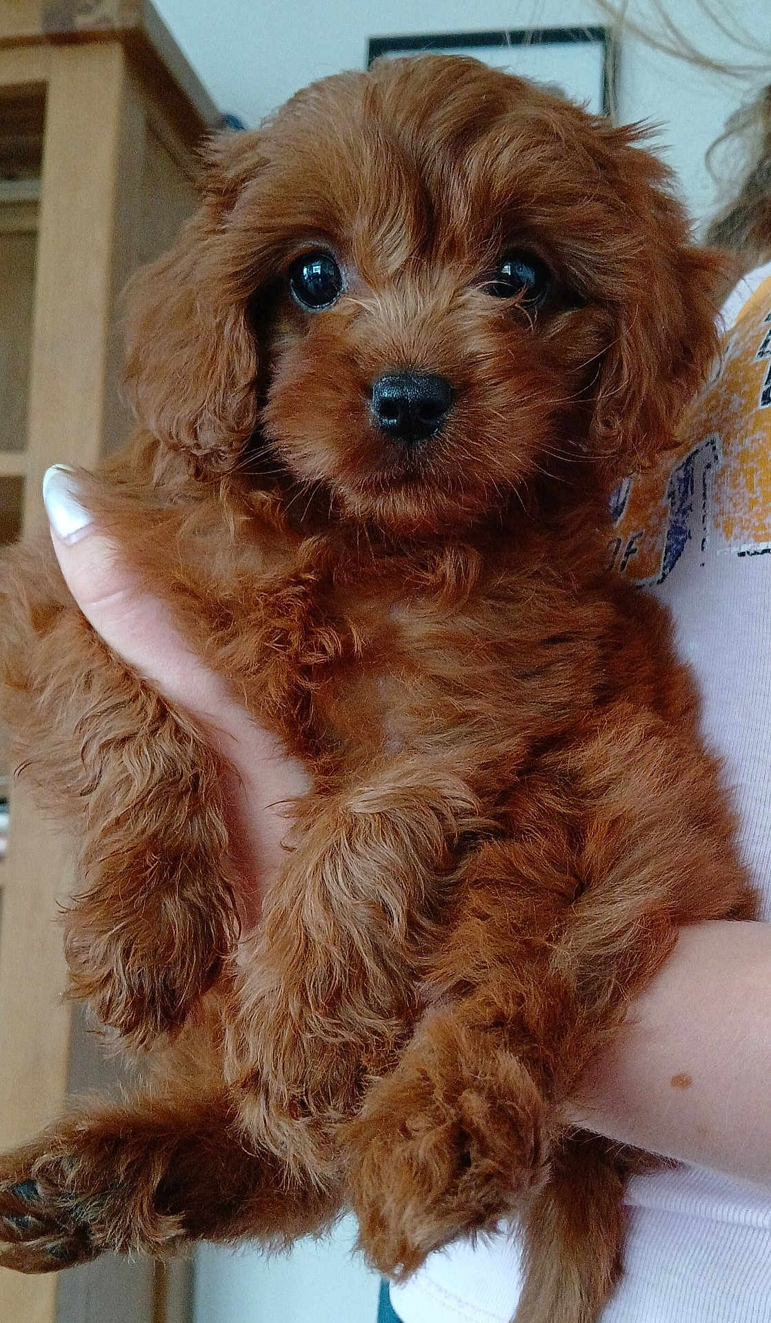 Mimi