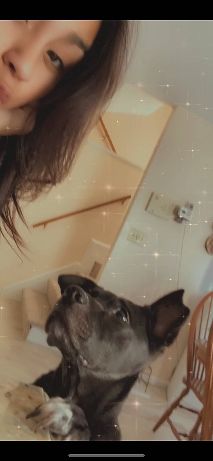 Thunder is registered to the contest to win money with this photo: canidae, ear, fawn, french_bulldog, mouth, non_sporting_group, selfie, snout