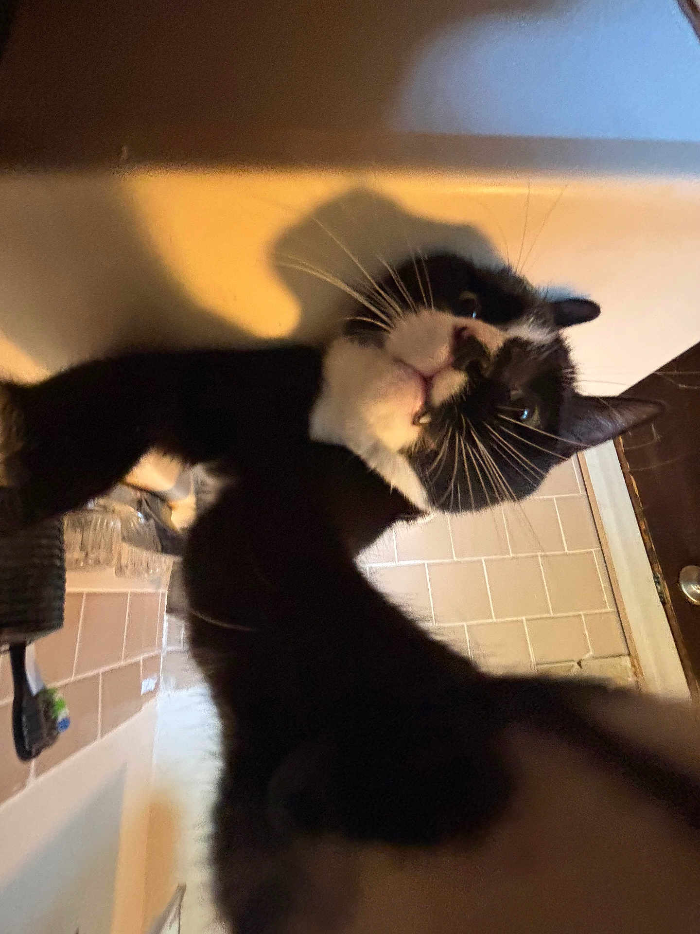 Salem
