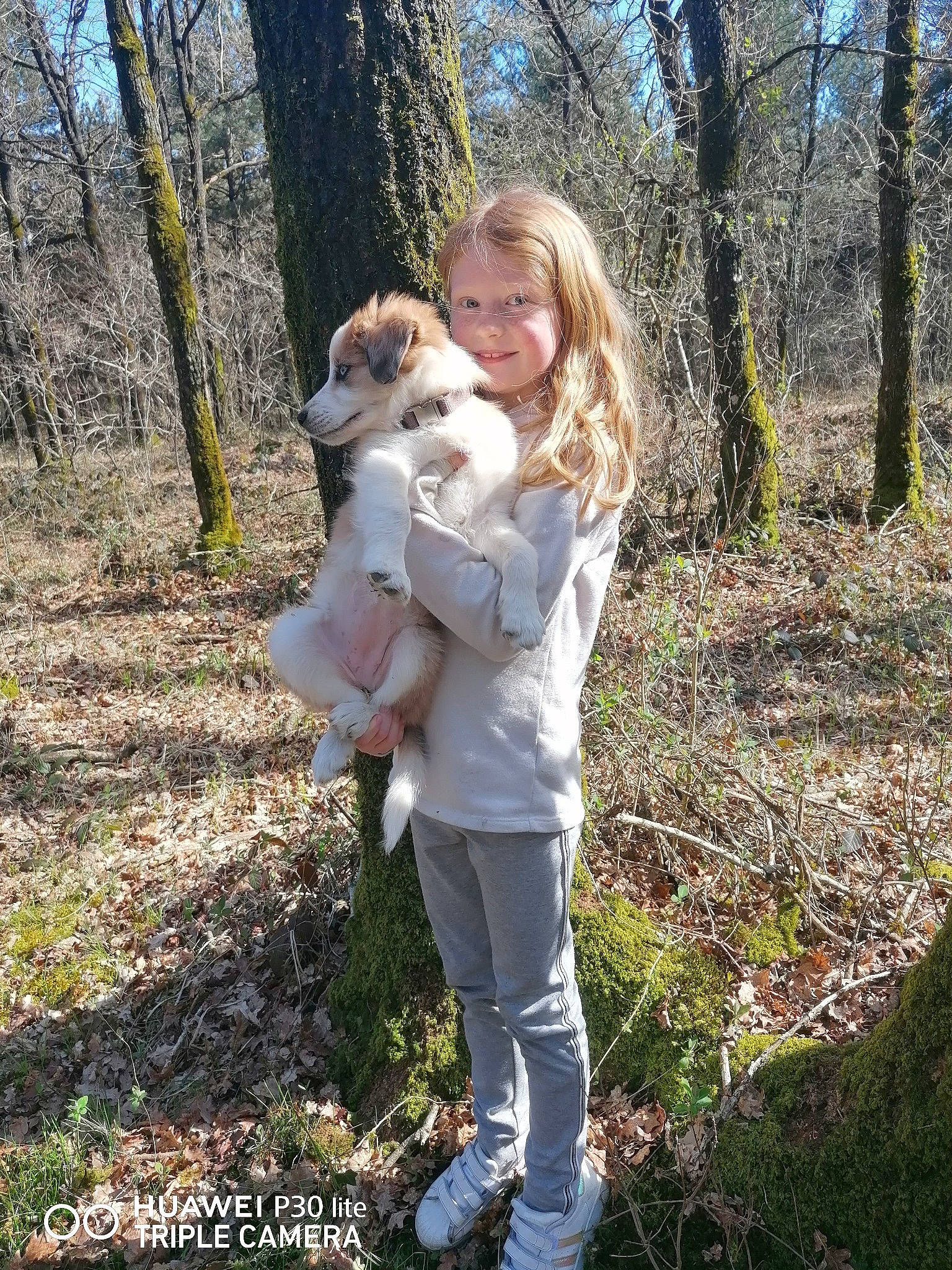 Maély participe au concours pour gagner de l'argent avec cette photo : blond, botany, companion_dog, dog_breed, fawn, forest, gesture, grass, happy, joy, natural_landscape, people_in_nature, person, plant, smile, toy, tree, trunk, walking, wood