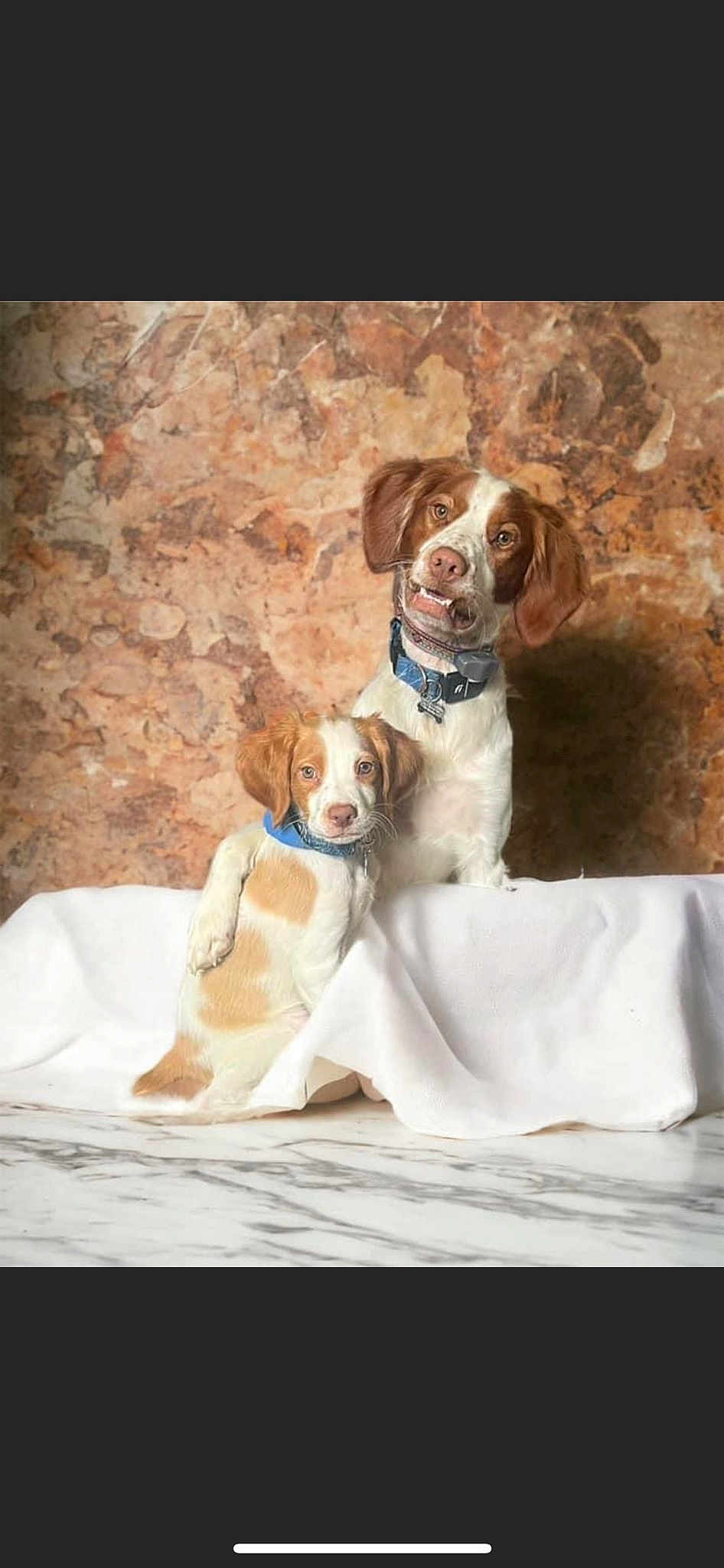 Remington Winchester