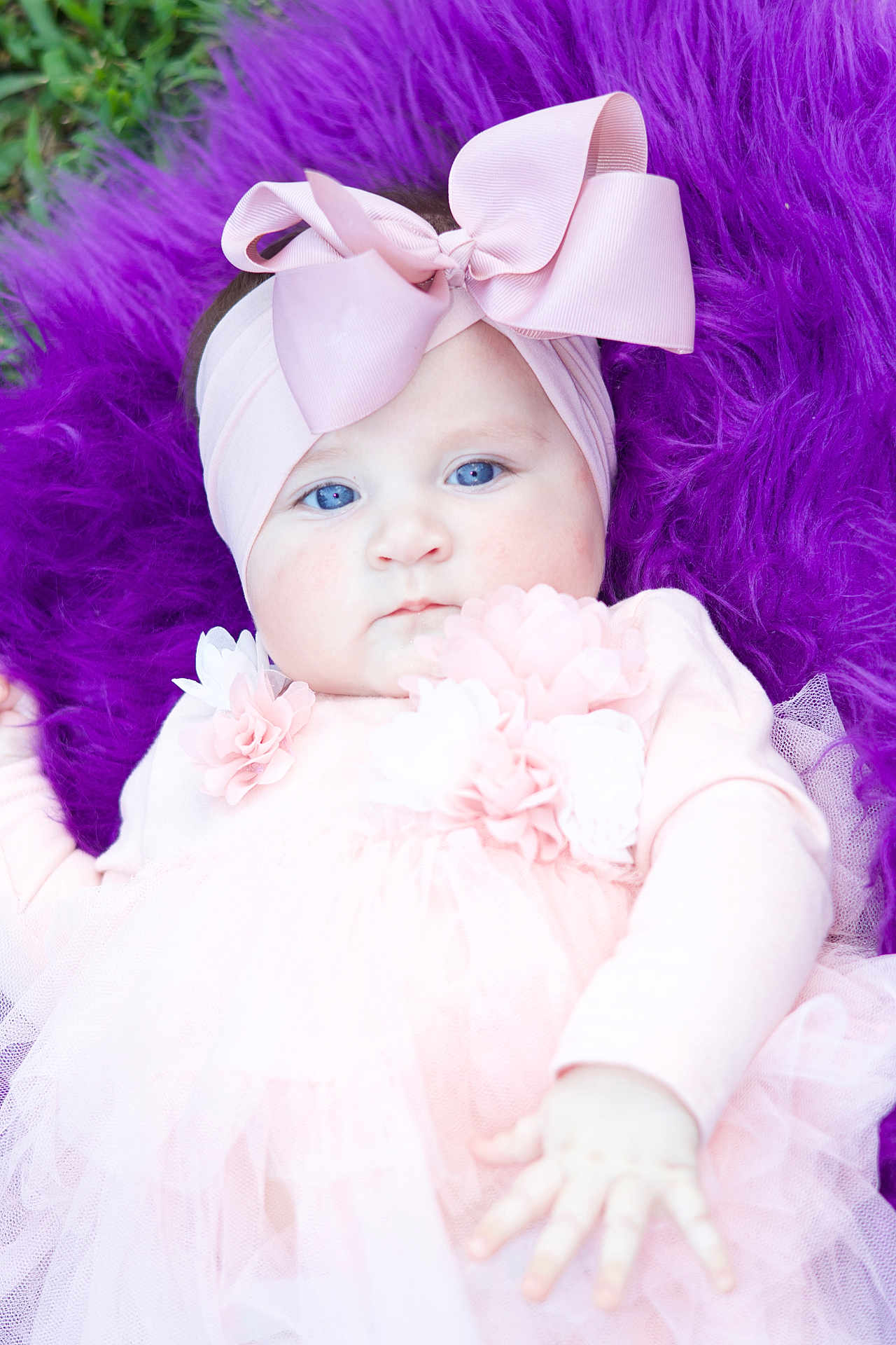 Violette is registered to the contest to win money with this photo: baby, infant, child, pink_clothing, headband, bow, fluffy_background, purple, soft_texture, tulle_skirt, flower_decorations, hand, face, blue_eyes, portrait, cute, cute_baby, outdoor, closeup, lying_down