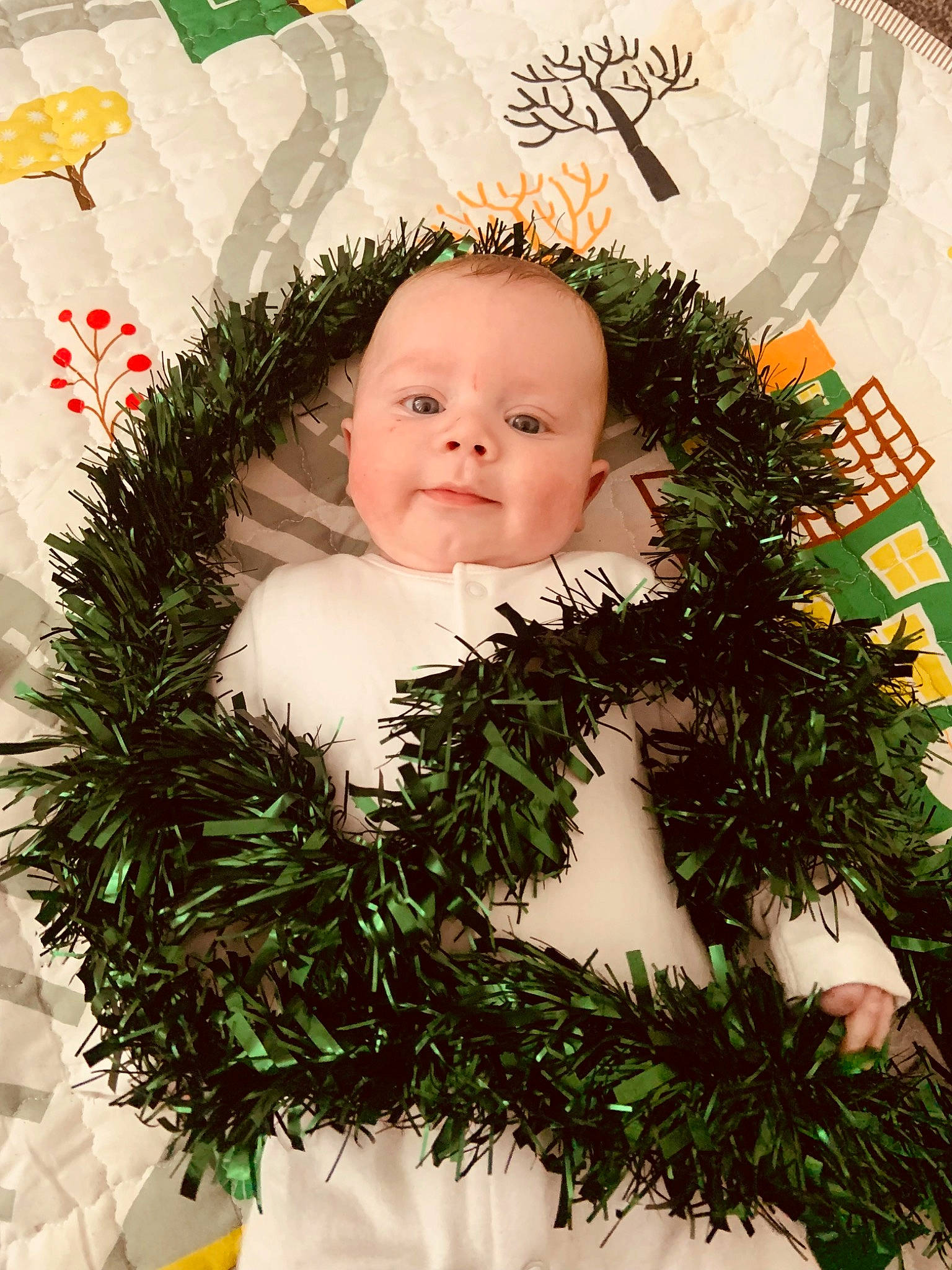Toby is registered to the contest to win money with this photo: baby, christmas, christmas_decoration, christmas_eve, christmas_ornament, conifer, event, evergreen, grass, groundcover, happy, holiday, holiday_ornament, leaf, ornament, people_in_nature, person, plant, terrestrial_plant, toddler