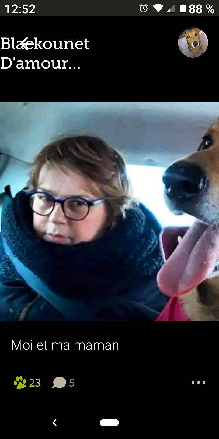 Black participe au concours pour gagner de l'argent avec cette photo : carnivore, companion_dog, cool, dog, dog_breed, electronic_device, eyewear, facial_expression, fawn, flash_photography, font, gesture, glasses, happy, human, mouth, nose, organ, photograph, vision_care