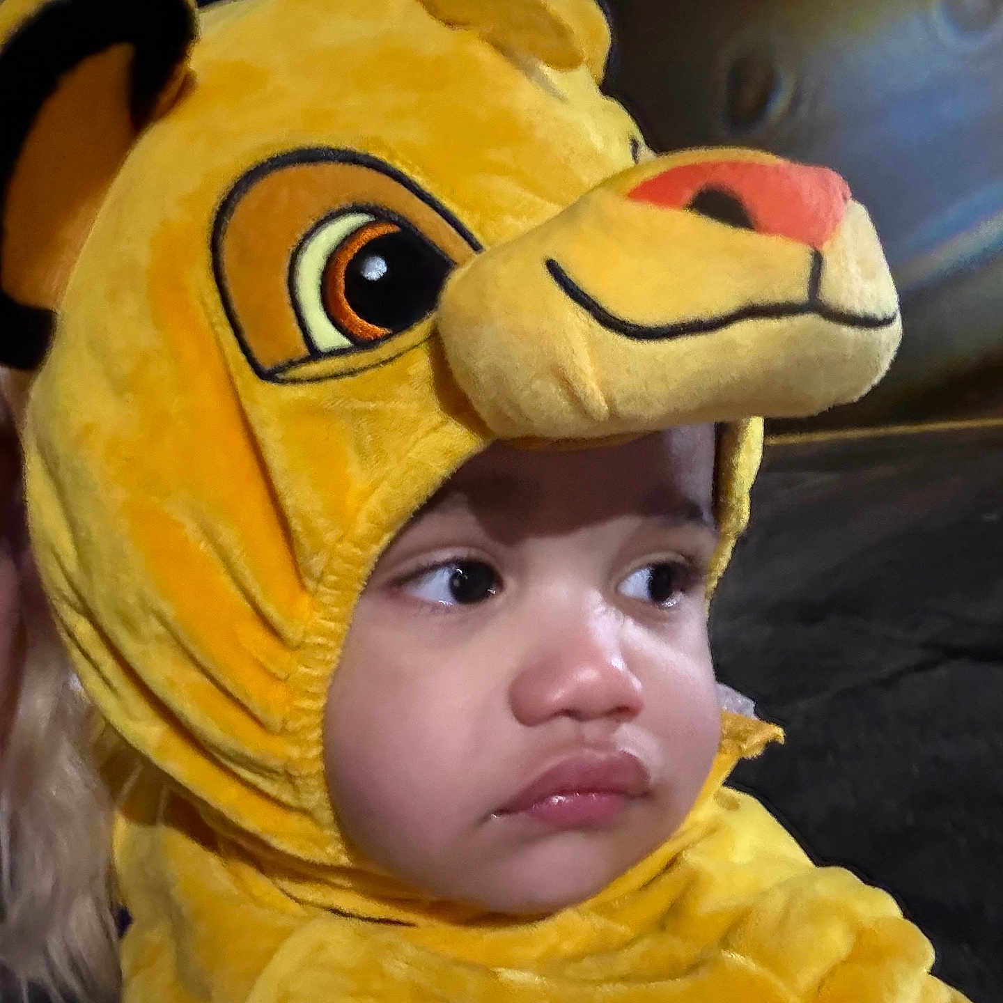 Noah