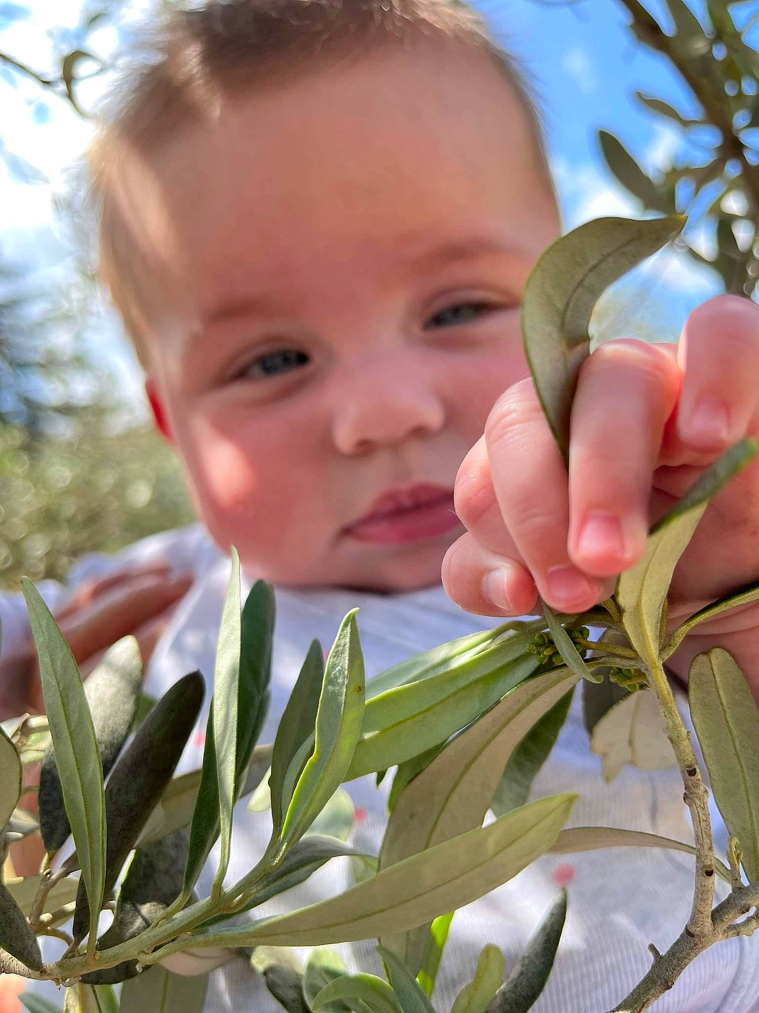 Lyia participe au concours pour gagner de l'argent avec cette photo : botany, child, face, flowering_plant, fruit, gardening, grass, happy, head, leaf, natural_foods, people_in_nature, person, plant, rose_family, shrub, sky, smile, terrestrial_plant, toddler