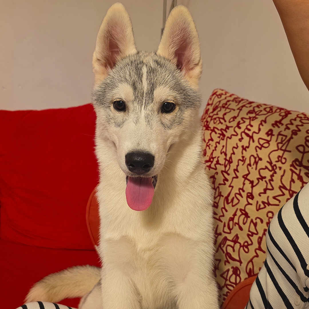 Freya