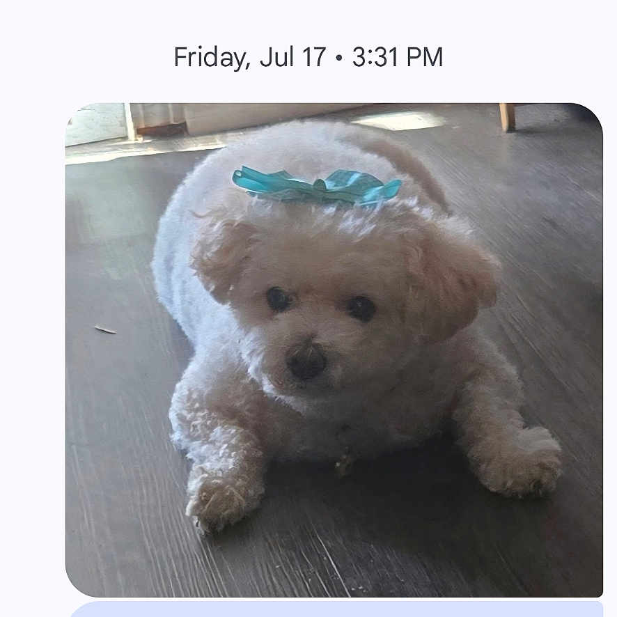 Daisy
