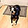 Rocco