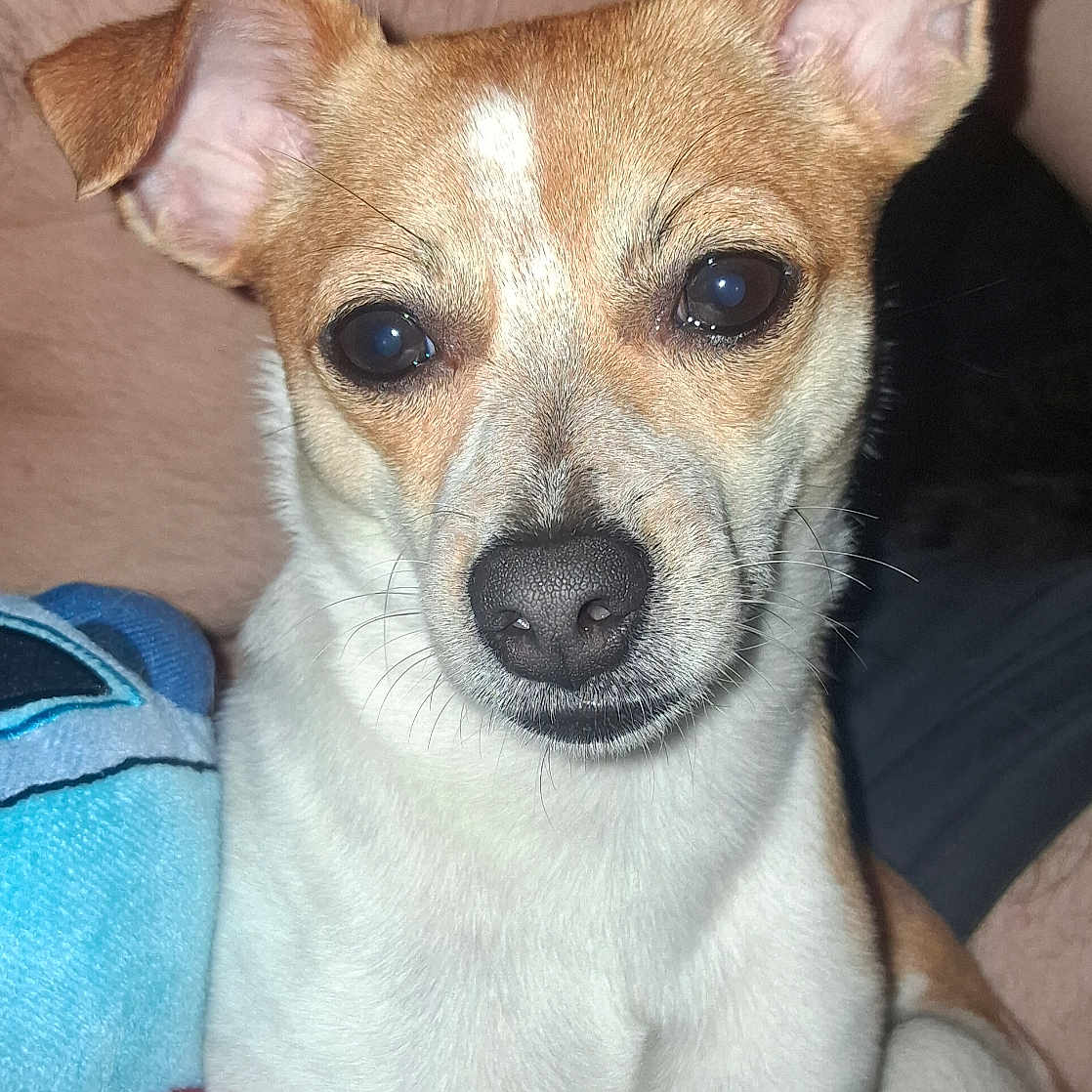 Coco