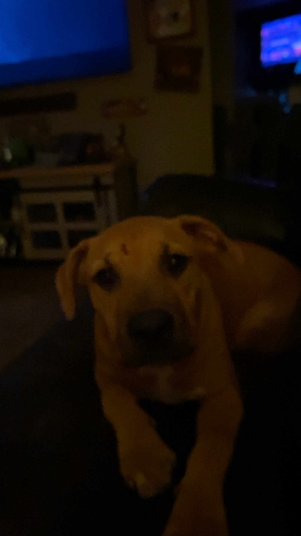 Lucy