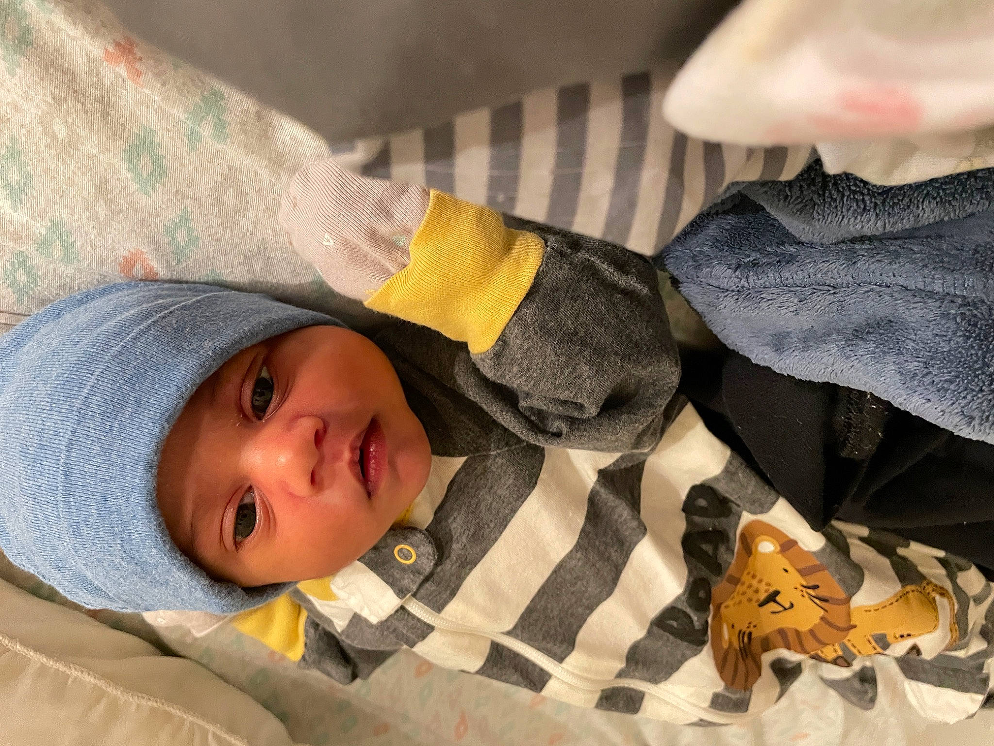 Jalen joined the competition — help win amazing prizes! baby, baby_products, baby_toddler_clothing, child, comfort, fashion_accessory, fur, happy, hat, headwear, linens, outerwear, pattern, person, sleep, sleeve, smile, textile, toddler, tree