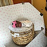 newborn, baby, basket, blanket, pink_bow, sleeping, indoors, woven_basket, fabric, pattern, clip, cozy, portrait, headband, soft_texture, wrapped, cute, resting, child, baby_photography
