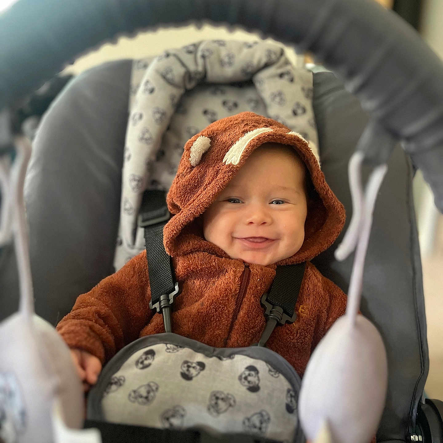 Andy a rejoint le concours — aidez-le/la à gagner de superbes lots ! baby, child, smiling, onesie, brown, baby_carrier, straps, soft_toys, indoor, cute, happy, face, hood, plush, seat, infant, person, portrait, baby_clothing, comfort