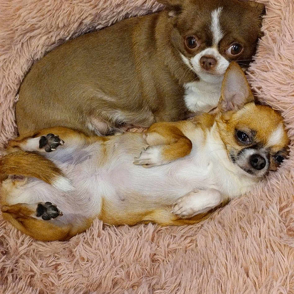 Ouna Et Oriane