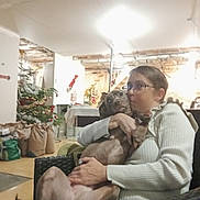 Nellie a rejoint le concours — aidez-le/la à gagner de superbes lots ! person, dog, indoor, christmas_tree, holiday_decorations, glasses, white_sweater, hugging, chair, gift_bags, living_room, warm_lighting, affection, pet, brown_dog, seated, furniture, cozy, home, casual