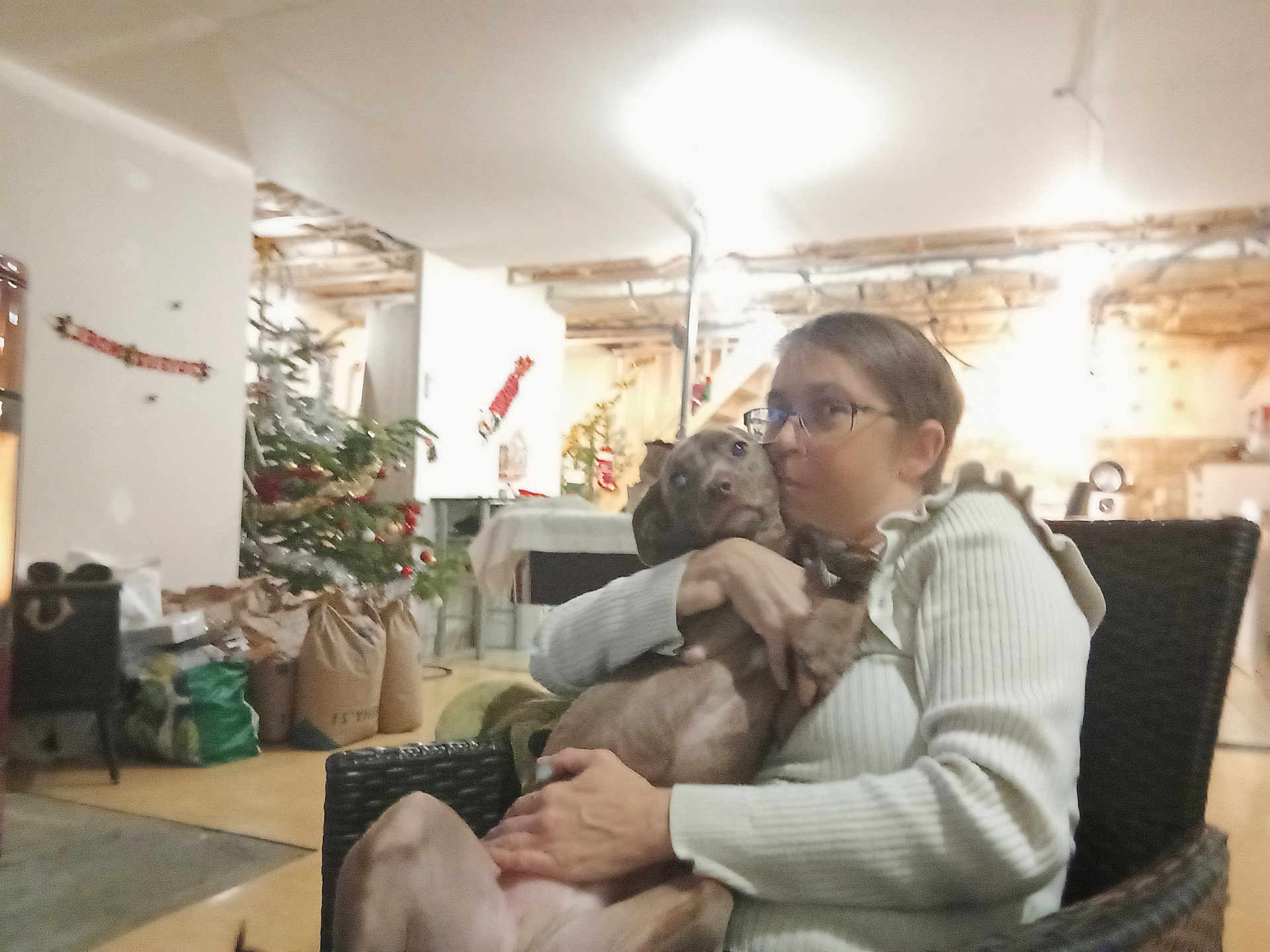 Nellie a rejoint le concours — aidez-le/la à gagner de superbes lots ! person, dog, indoor, christmas_tree, holiday_decorations, glasses, white_sweater, hugging, chair, gift_bags, living_room, warm_lighting, affection, pet, brown_dog, seated, furniture, cozy, home, casual