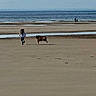 Aïko participe au concours pour gagner de l'argent avec cette photo : beach, child, dog, sand, water, sea, sky, footprints, running, outdoor, nature, shore, shoreline, vacation, summer, animal, person, landscape, recreation, coast