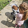 child, puppy, stroller, outdoor, sunlight, concrete, grass, greenery, shadows, cute, young_child, pet, walking, casual_clothing, daytime, side_view, hair, shoes, playful, nature
